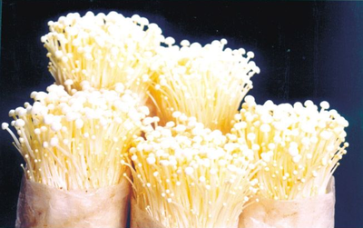 江山白菇及其制品